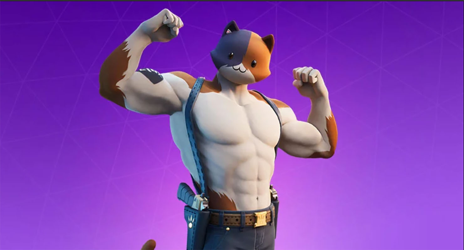 Fortnite fans are cosplaying as Meowscles using real cats - SlashGear - moK...